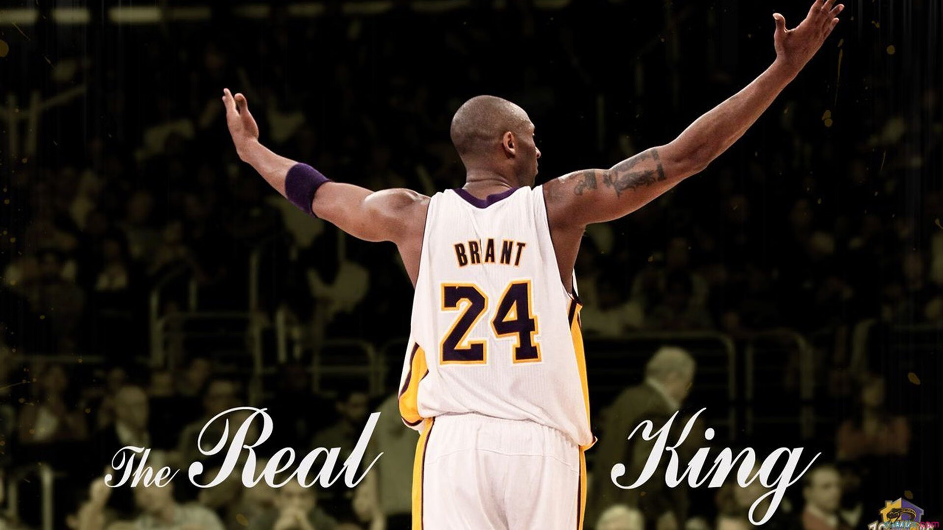 爱游戏2026-迪巴拉，在悉尼的暴雨中，我听见了布宜诺斯艾利斯的回响